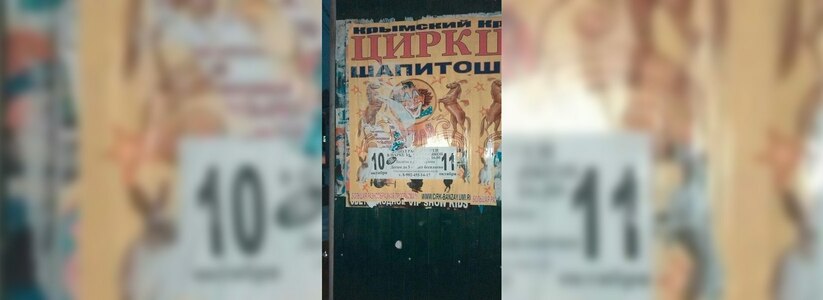 Артисты гастролирующего цирка из Крыма в Кушве Свердловской области избили и оставили в мусорке питона