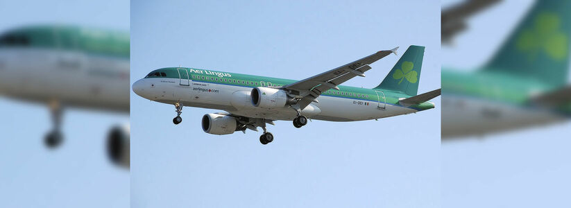 Пассажир самолета Лиссабон-Дублин 18 октября искусал своего соседа, потерял сознание и умер