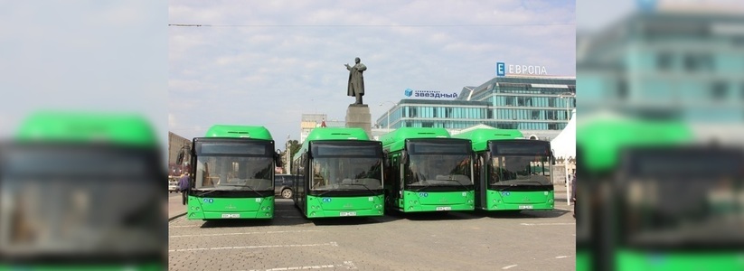 На дорогах Екатеринбурга появится почти полсотни новых пассажирских автобусов - 21 октября 2015 года