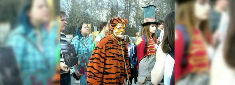 В Екатеринбурге прошел митинг за запрет использования животных в цирке