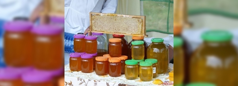 Свердловского кандидата в Госдуму задержали за торговлю медом