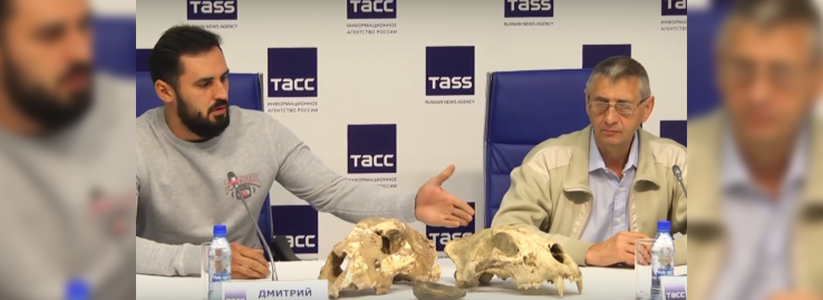 Ученые из Екатеринбурга пытаются разгадать тайну вымирания гигантских пещерных львов