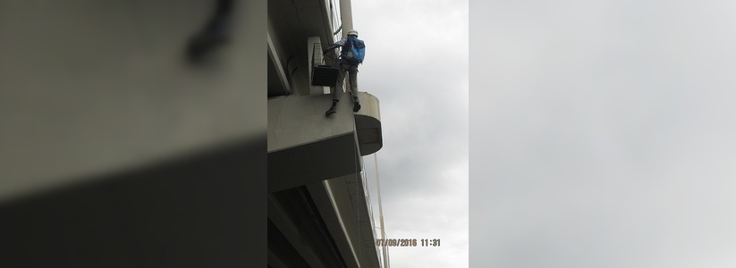 В Екатеринбурге спасли кошку, которая две недели сидела на балке моста на улице Московской - фото