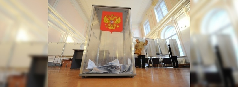 Онлайн-голосование перед выборами показало настроение избирателей