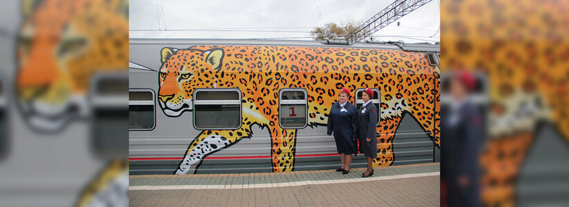 В Екатеринбург приедет поезд с амурскими тиграми и дальневосточными леопардами на вагонах