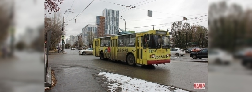 В Екатеринбурге активисты открыли сайт «Спасем троллейбус!»