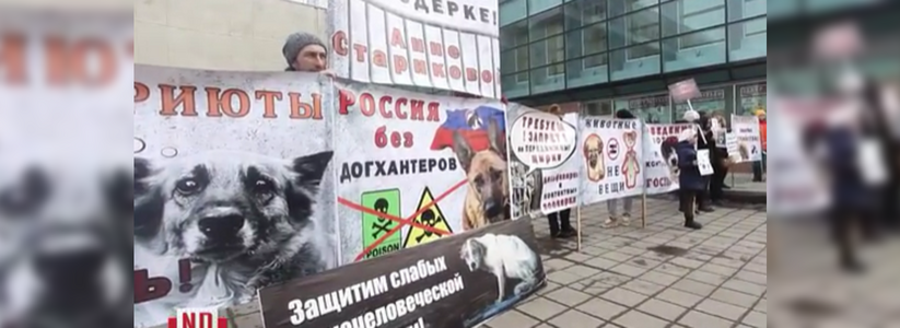Екатеринбуржцы вышли на пикет в защиту животных
