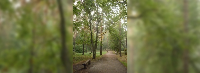 На проект реконструкции парка «Зеленая роща» в Екатеринбурге потратят почти 2 миллиона рублей