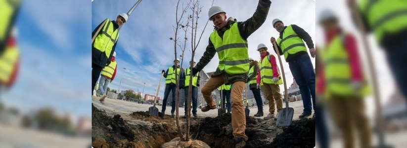 Вокруг «Екатеринбург Арены» высадили деревья