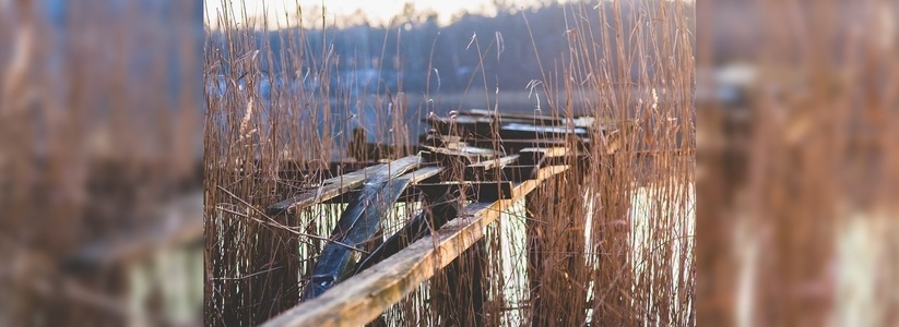 В Екатеринбурге снесут забор, который мешал подойти к озеру Шарташ