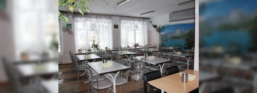 В Екатеринбурге проверят все школы, где детей кормила скандальная столовая «Золушка»
