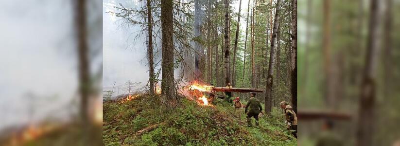 Уральскому заповеднику "Денежкин Камень" угрожает новый лесной пожар
