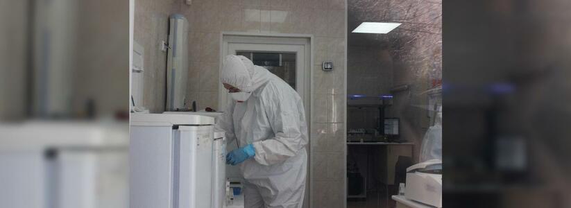 За сутки в Свердловской области почти 300 случаев заражения COVID-19