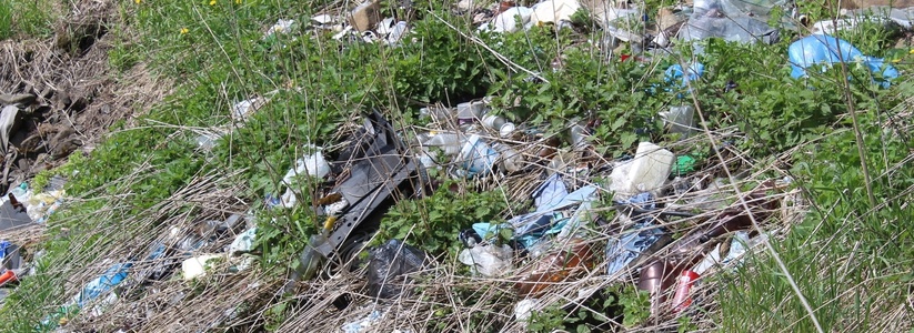 Свердловский министр пообещал экологическую катастрофу, если не начать строить мусорные заводы