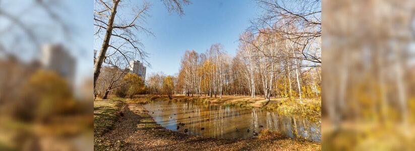 Из двух зол: Урбанист раскритиковал проекты реконструкции парка им. 50-летия ВЛКСМ
