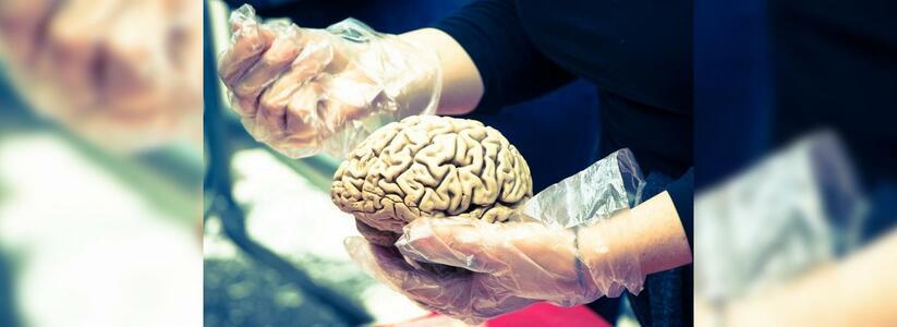 Невролог заявил, что будущее - за чипированием мозга