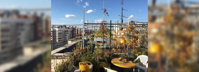 В Екатеринбурге у пенсионера, которого лишили сада на крыше дома, украли уцелевшие деревья