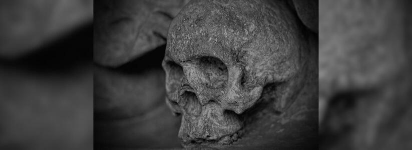 Екатеринбуржец нашел череп 25-летнего человека на берегу Исети