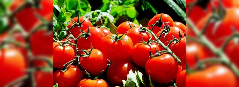 Отказаться навсегда: ученые-кардиологи рассказали, чем опасны помидоры