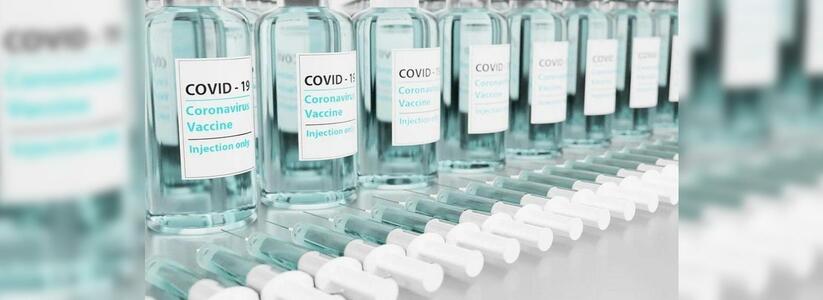 В Екатеринбурге поймали продавца поддельных медотводов от COVID-прививки