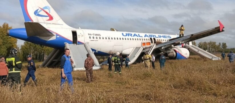 Пилоты «Уралавиа» посадили рейс Сочи-Омск в поле из-за собственной ошибки