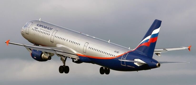 Воробей стал причиной задержки авиарейса из Екатеринбурга