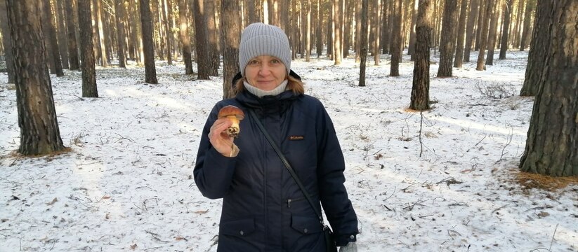 Грибочки есть: уральцы собирают под снегом белые грибы