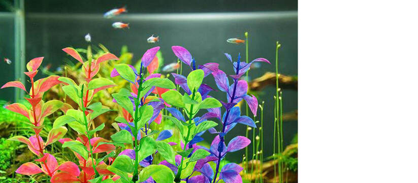 Важность аквариумных растений