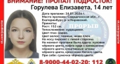 В Екатеринбурге вторые сутки ищут 14-летнюю школьницу: полиция опубликовала приметы