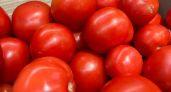 Безумные цены на продукты в Свердловской области: что происходит с экономикой региона