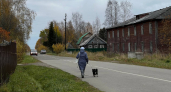 С 1 апреля введут новые правила для выгула собак