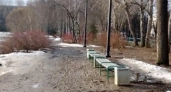 Дендропарк на Первомайской в Екатеринбурге с 1 апреля закроют на просушку