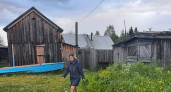 Клещи боятся этого запаха: чем лесники в тайге отпугивают их — и никакой химии