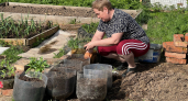 Замочите в этом на ночь, и даже старая рассада уйдет в мощный корень: простой аптечный стимулятор