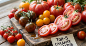 Сладкие, мясистые и сочные — шесть сортов томатов, которые хвалят дачники
