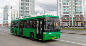 Прокуратура Екатеринбурга начала массовую проверку транспортных компаний после смертельного ДТП