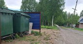 Двукратный рост мусора в СНТ Свердловской области: куда обращаться по вопросам вывоза ТКО