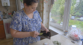 Кладу лавровый лист в кошелёк — и всем советую: рассказываю, в чём суть