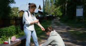 В Свердловской области за неделю зарегистрировали 58 случаев присасывания клещей