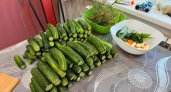 Режу огурцы и закладываю в банку: вкуснее корнишонов, пикантнее берлинских