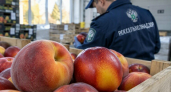 В Свердловскую область доставили 59 тонн фруктов прямым рейсом из Ирана