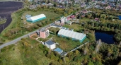 Загородное поместье с конюшней под Екатеринбургом выставили на продажу за 120 миллионов