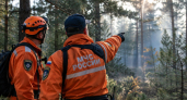 В Свердловской области завершился пожароопасный сезон после 100 возгораний