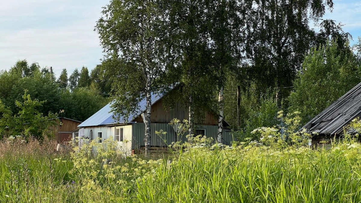 Оштрафуют даже за мойку авто: за что накажут дачников в 2026 году