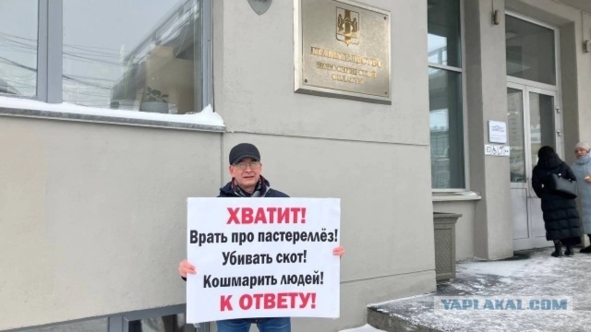 Вдове бойца, погибшего на СВО, угрожают чиновники, если она не позволит уничтожить свой скот: хроника уничтожения русского села