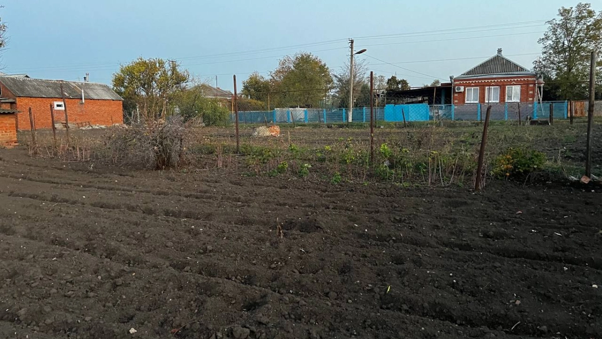 Не торопитесь с рассадой в майские праздники: важный совет для дачников
