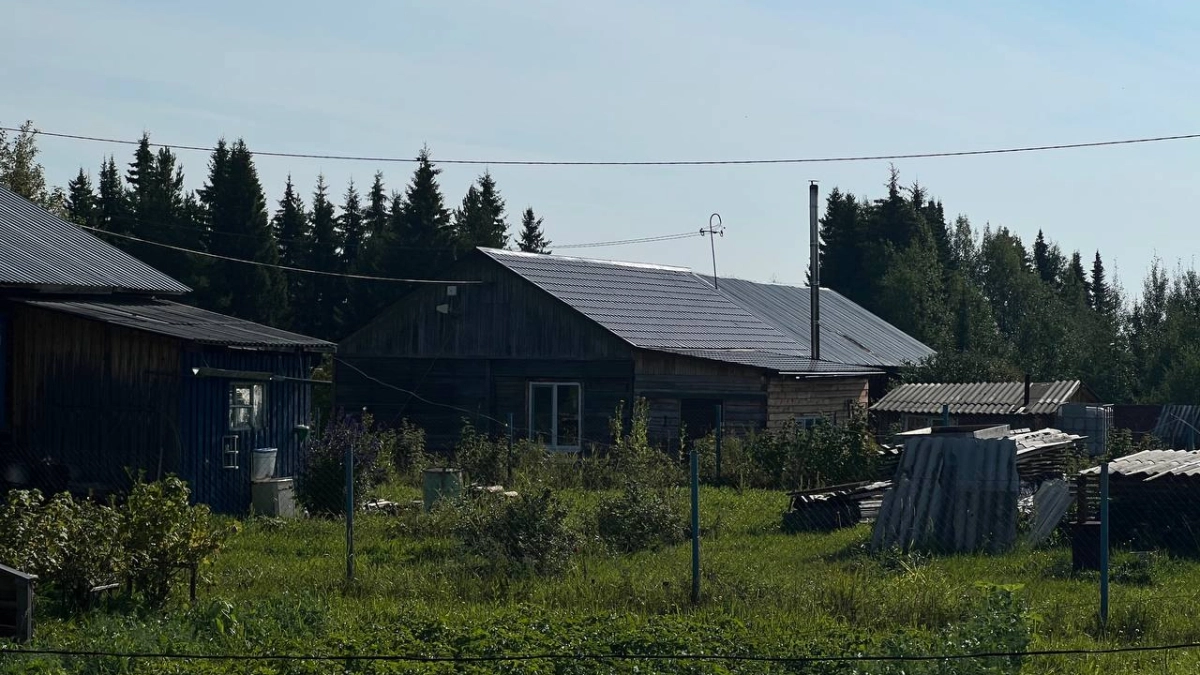 Растения на даче, за которые грозит штраф или тюрьма: полный запрещённый список