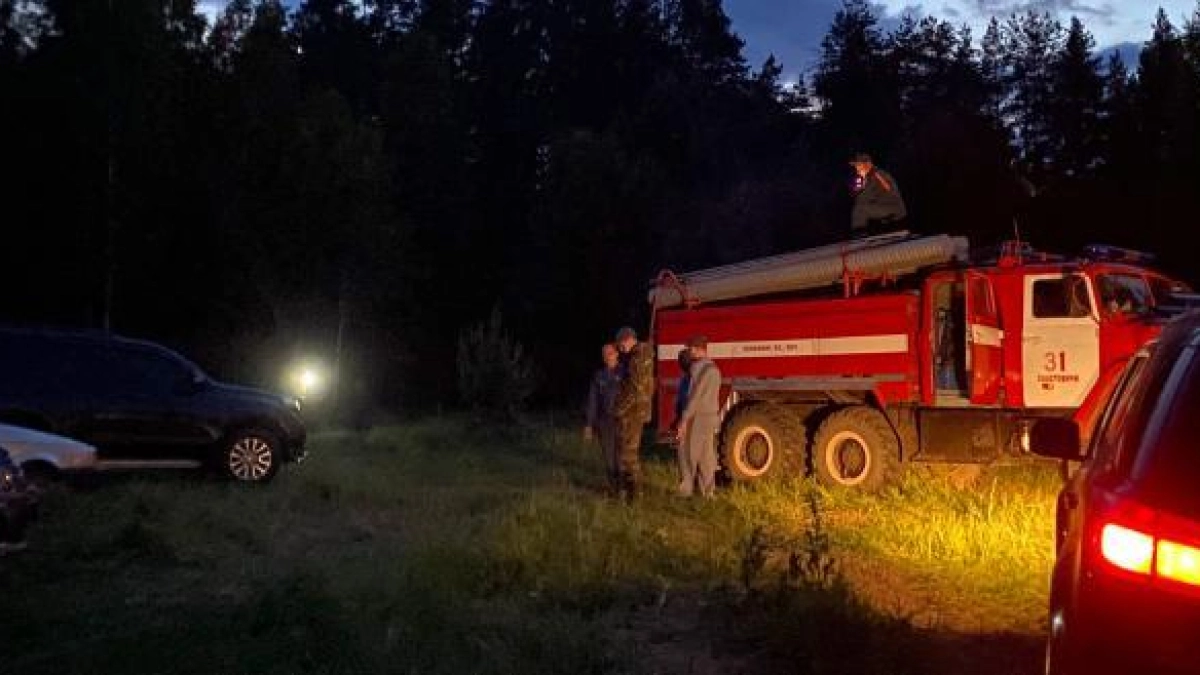 Заблудилась на соревнованиях по спортивному ориентированию: 140 человек искали девочку в лесу