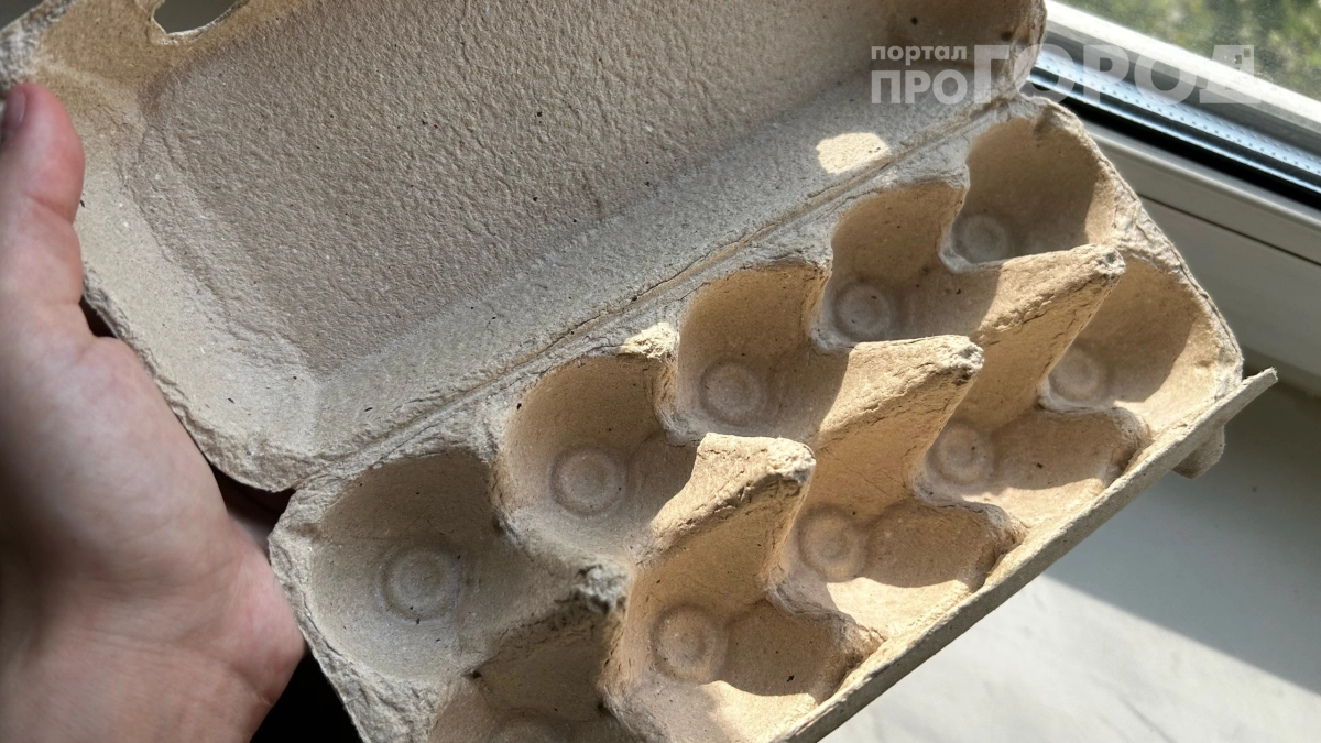 Всю зиму собирала яичные лотки — и не зря: теперь у меня на даче десяток полезных вещей