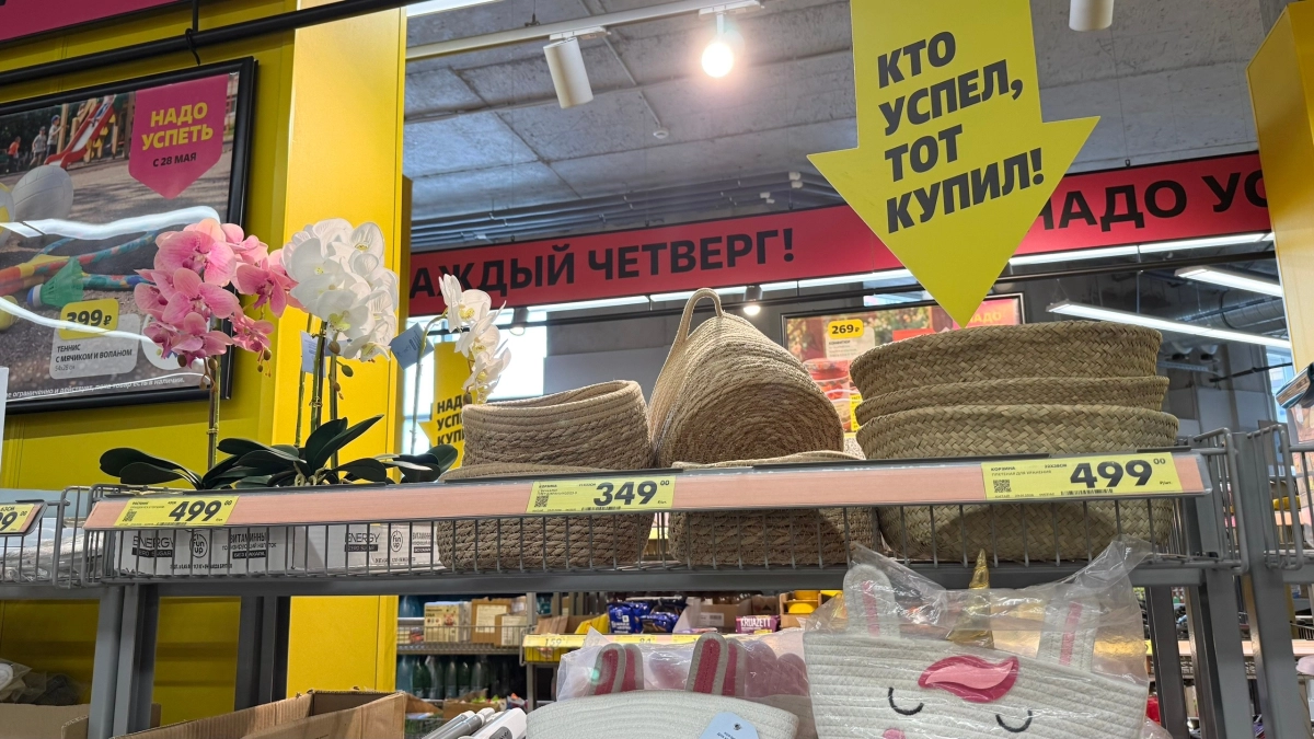 Скупаю плетеные корзинки в “Чижике” — и превращаю их в дачные шедевры: вот что у меня получается